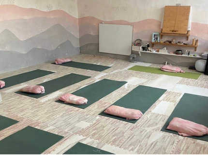 Sala con esterillas y cojines de yoga